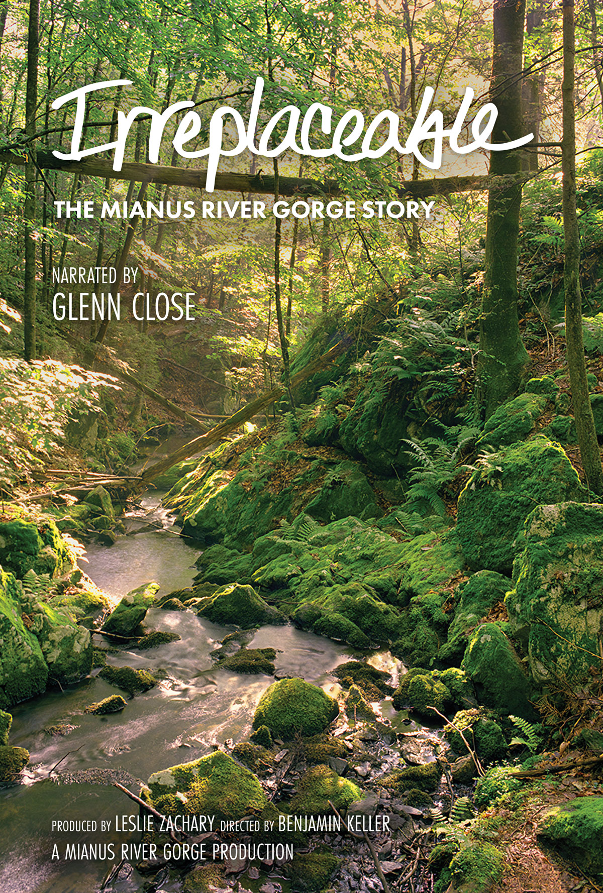 Irreplaceable: The Mianus River Gorge Story