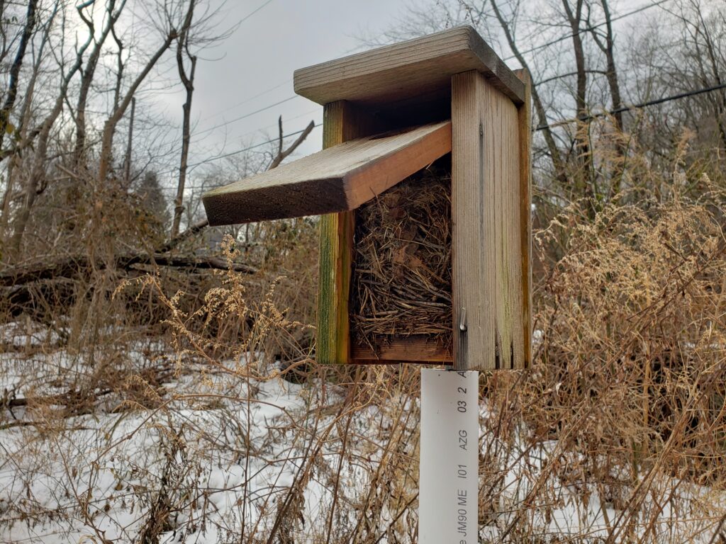 time-to-clean-out-bluebird-boxes-mianus-river-gorge