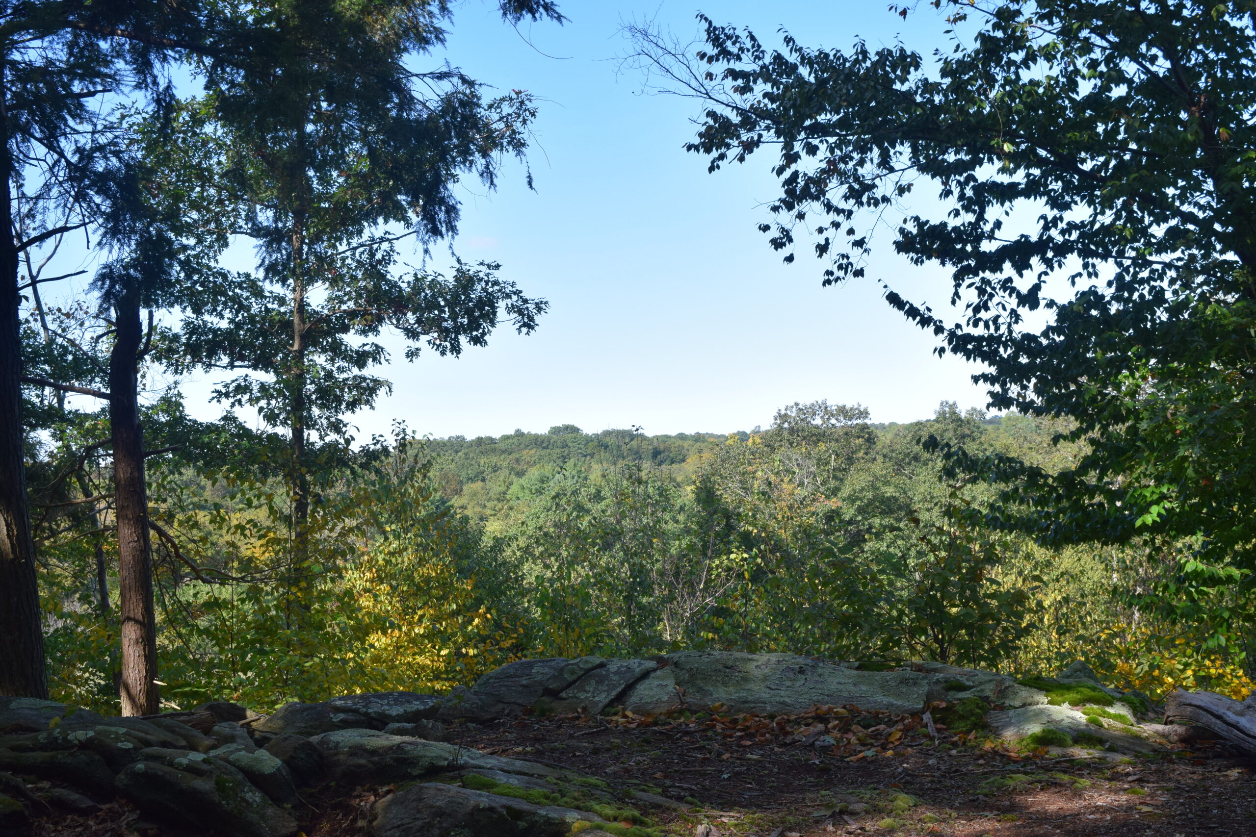 Taylor Preserve of the Mianus River Gorge - FULL