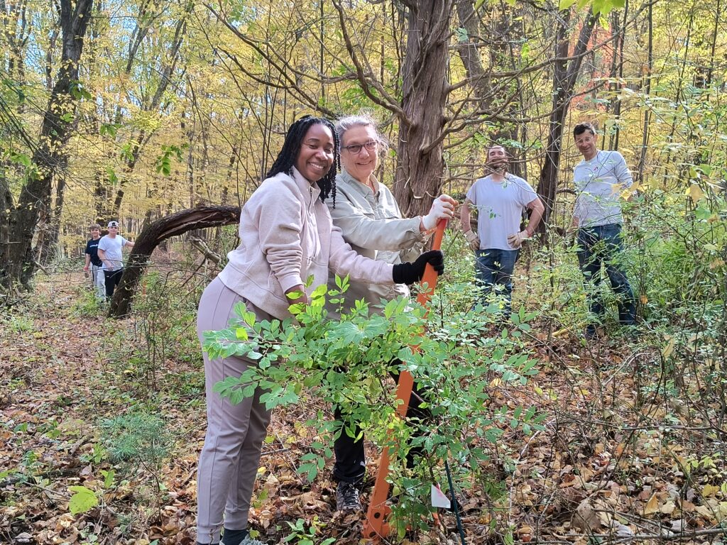 Two women smile as they work managing plants within the Mianus River Gorge preserve