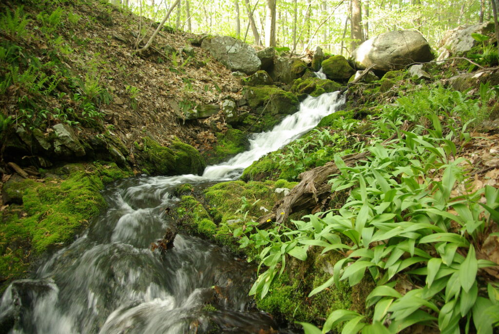 Protecting Land The Key To Protecting Our Drinking Water Supply Mianus River Gorge 2015