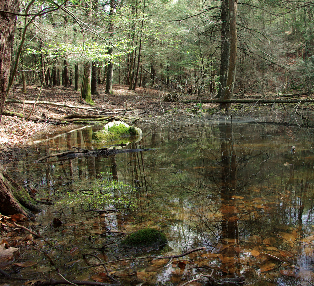 FULL - Exploring the History of the Land